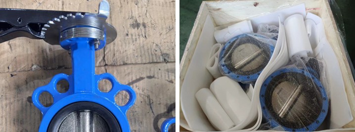 Concentric Butterfly Valve