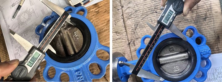 Concentric Butterfly Valve