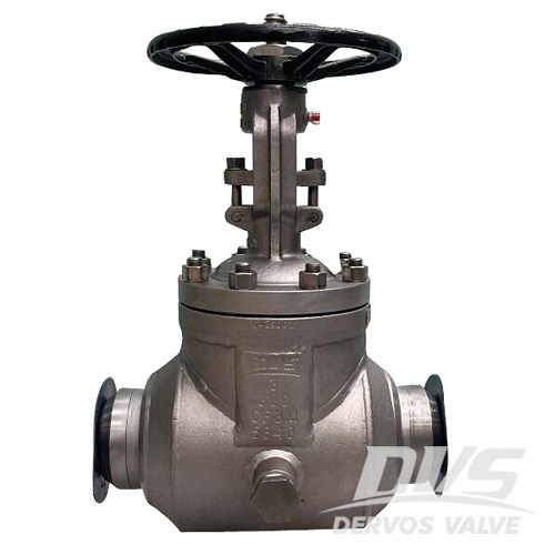 ASTM A351 CF3M Gate Valve, API 600, 300 LB, 3 x 5 Inch