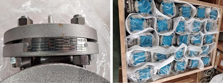 Stainless Steel Swing Check Valve