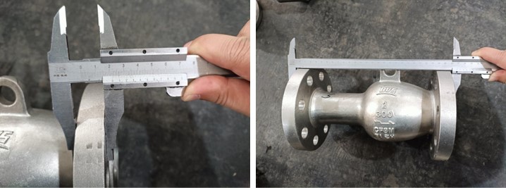 Axial Flow Check Valve