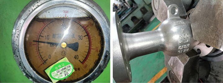 Axial Flow Check Valve