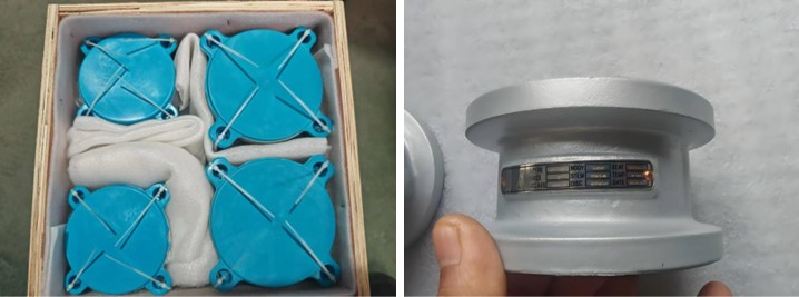Wafer Type Check Valve