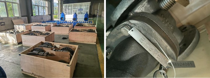 Ductile Iron Gate Valve
