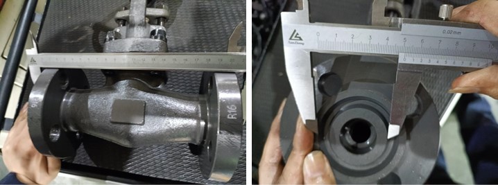 Forged Steel Globe Valve