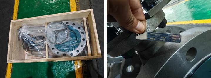 Triple Offset Butterfly Valve 