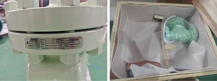 Swing Check Valve