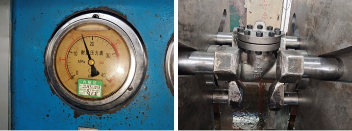 Swing Check Valve