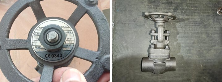 Forged Steel Gate Valve 