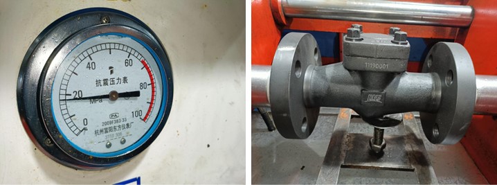Lift Type Check Valve 