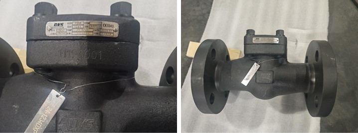 Lift Type Check Valve 