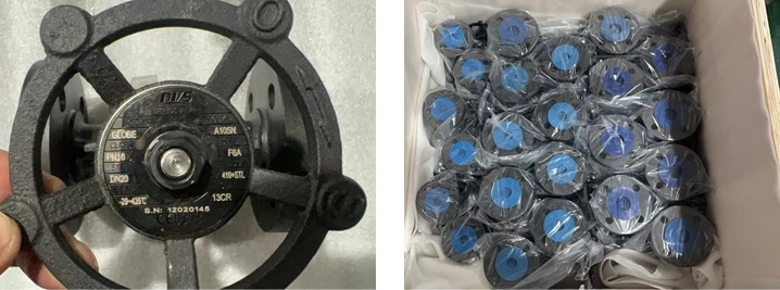 Forged Steel Globe Valve