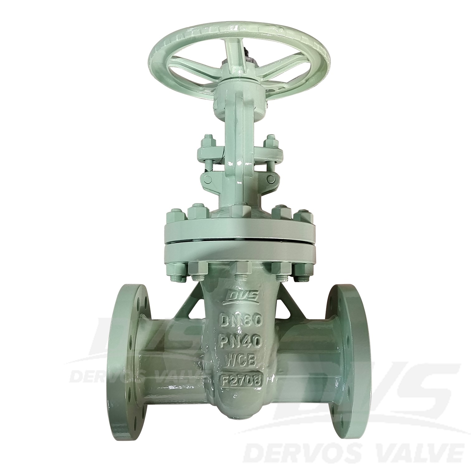 Cast Steel Gate Valve DN80 PN40 WCB RF