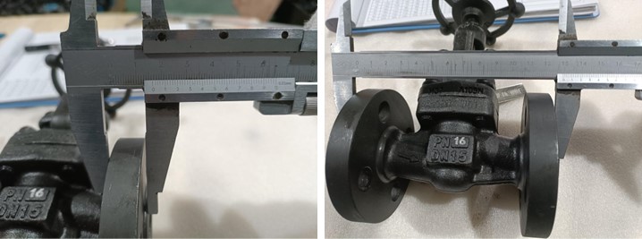 Forged Steel Globe Valve