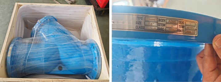 Ductile Iron Y Strainer 