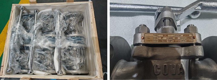 Plug Valve