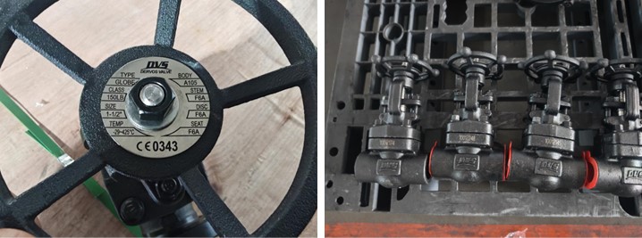 Forged Steel Gate Valve