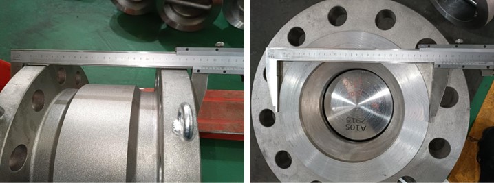 Dual Plate Wafer Check Valve
