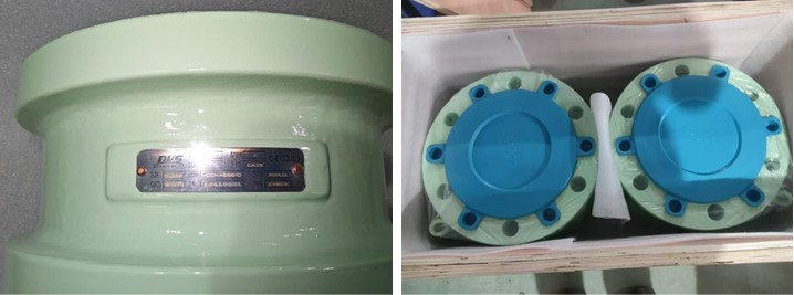 Dual Plate Wafer Check Valve