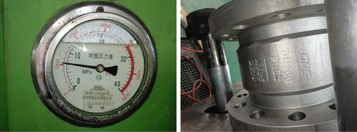 Dual Plate Wafer Check Valve