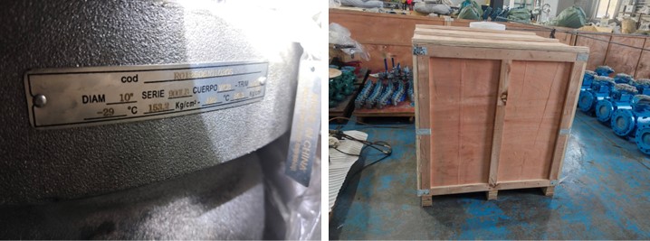 Trunnion Ball Valve