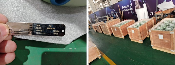 Swing Check Valve