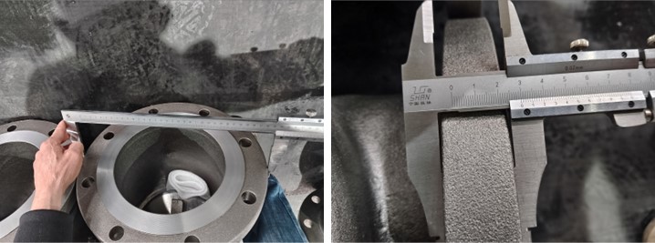 Swing Check Valve