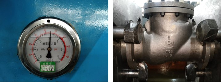 Swing Check Valve
