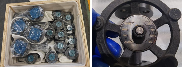 Forged Steel Globe Valve