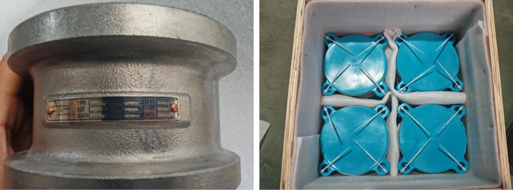 Dual Plate Wafer Type Check Valve