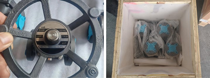 Forged Steel Gate Valve