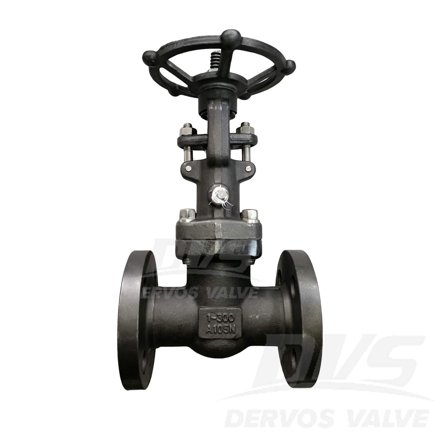 Forged Steel Gate Valve 1" 300LB A105N RF