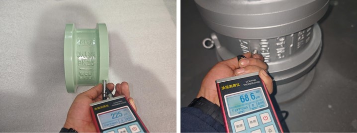Dual Plate Wafer Type Check Valve