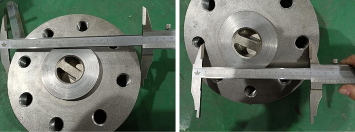 Dual Plate Wafer-Lug Check Valve