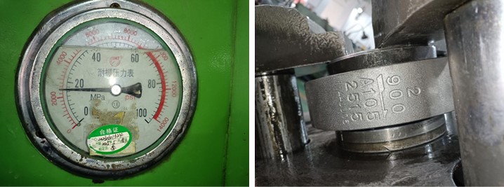Dual Plate Wafer-Lug Check Valve
