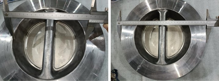 Dual Plate Wafer Check Valve