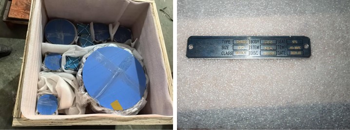 Dual Plate Wafer-Lug Check Valve