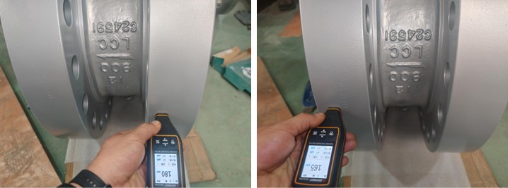 Dual Plate Wafer-Lug Check Valve