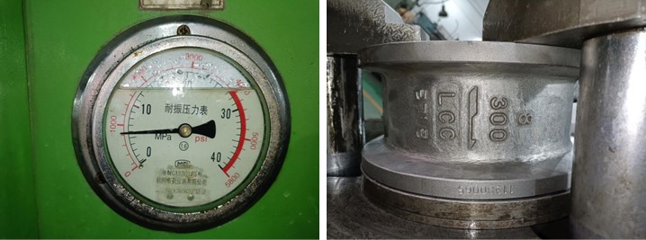 Dual Plate Wafer Check Valve