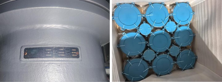 Dual Plate Wafer Check Valve