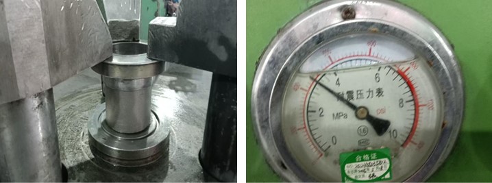 Dual Plate Wafer Type Check Valve