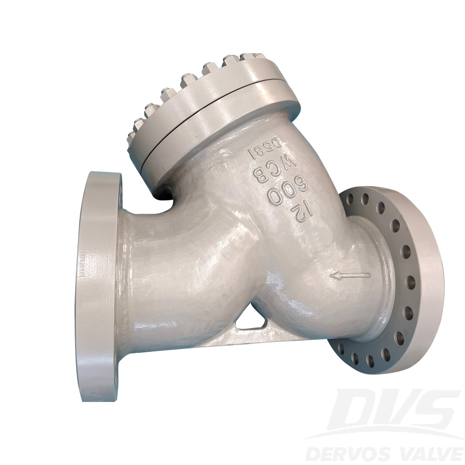 Cast Steel Y Type Strainer 8" 1500LB WCB RF