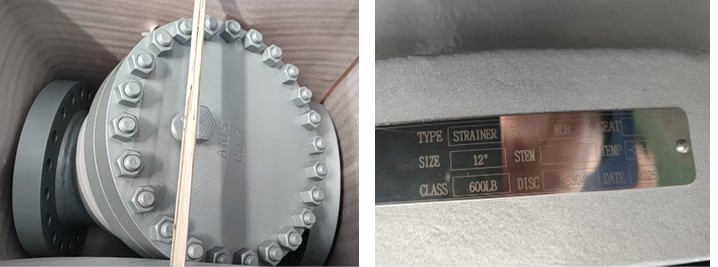 Y Type Strainer