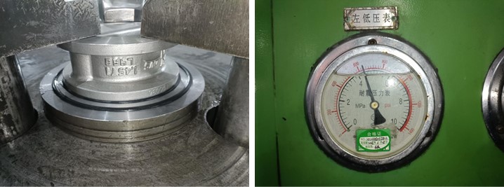 Dual Plate Wafer Check Valve