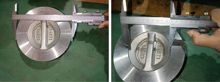 Dual Plate Wafer Check Valve
