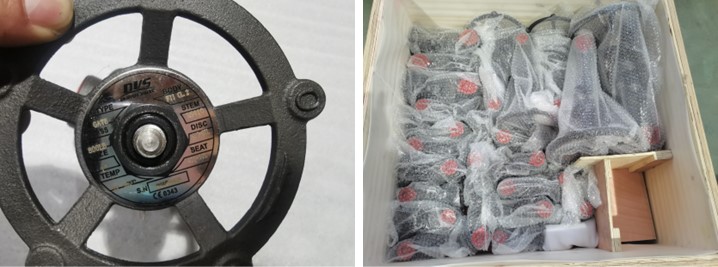 Forged Steel Gate Valve